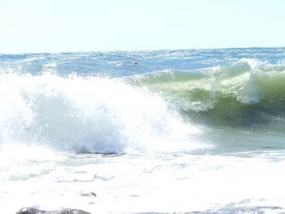 Прикрепленное изображение: s08.jpg